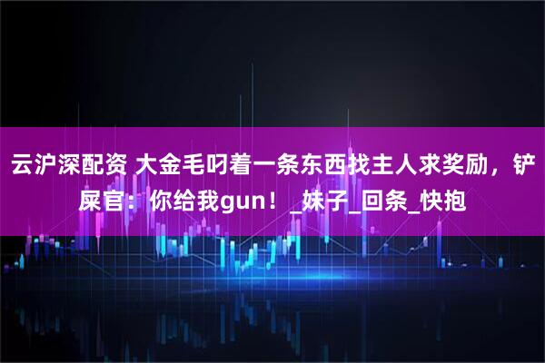 云沪深配资 大金毛叼着一条东西找主人求奖励，铲屎官：你给我gun！_妹子_回条_快抱