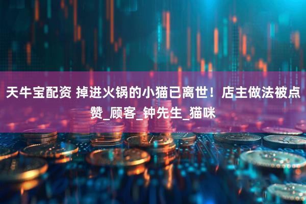 天牛宝配资 掉进火锅的小猫已离世！店主做法被点赞_顾客_钟先生_猫咪