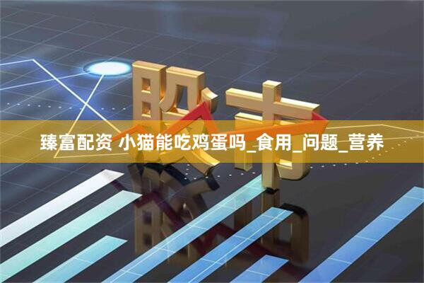 臻富配资 小猫能吃鸡蛋吗_食用_问题_营养