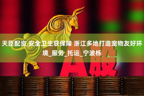 天臣配资 安全卫生获保障 浙江多地打造宠物友好环境_服务_托运_宁波栎