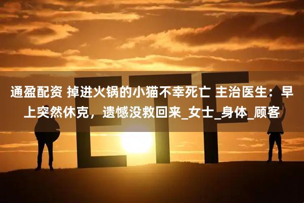 通盈配资 掉进火锅的小猫不幸死亡 主治医生：早上突然休克，遗憾没救回来_女士_身体_顾客