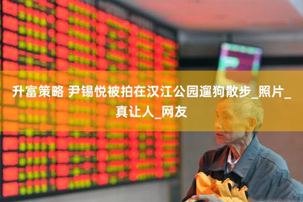 升富策略 尹锡悦被拍在汉江公园遛狗散步_照片_真让人_网友