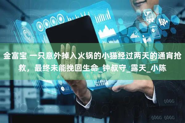 金富宝 一只意外掉入火锅的小猫经过两天的通宵抢救，最终未能挽回生命_钟叔守_露天_小陈