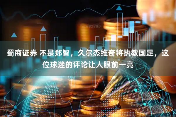 蜀商证券 不是郑智，久尔杰维奇将执教国足，这位球迷的评论让人眼前一亮