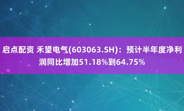 启点配资 禾望电气(603063.SH)：预计半年度净利润同比增加51.18%到64.75%