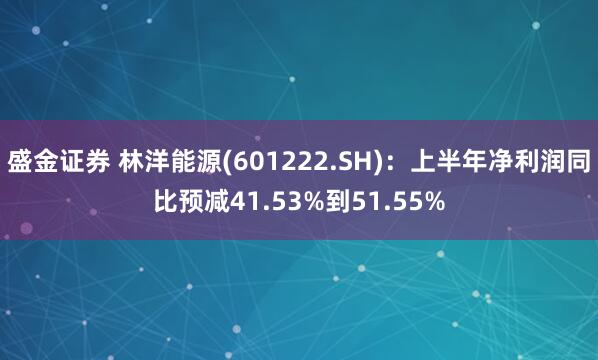 盛金证券 林洋能源(601222.SH)：上半年净利润同比预减41.53%到51.55%